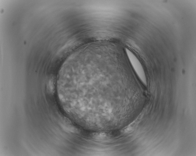 X0000088470074200706121540