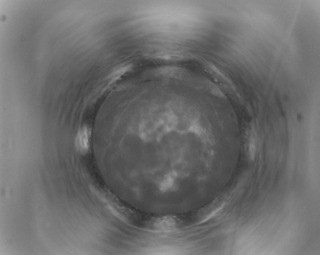 X0000088470075200706121540