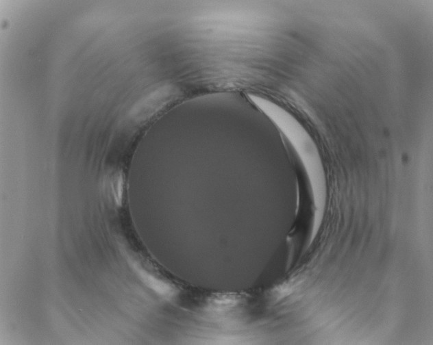 X0000088470076200706121540