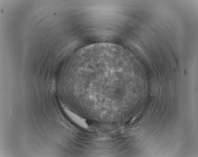 X0000088470077200706121540