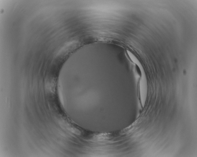 X0000088470078200706121540