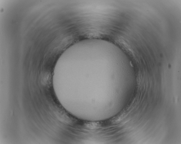 X0000088470079200706121540