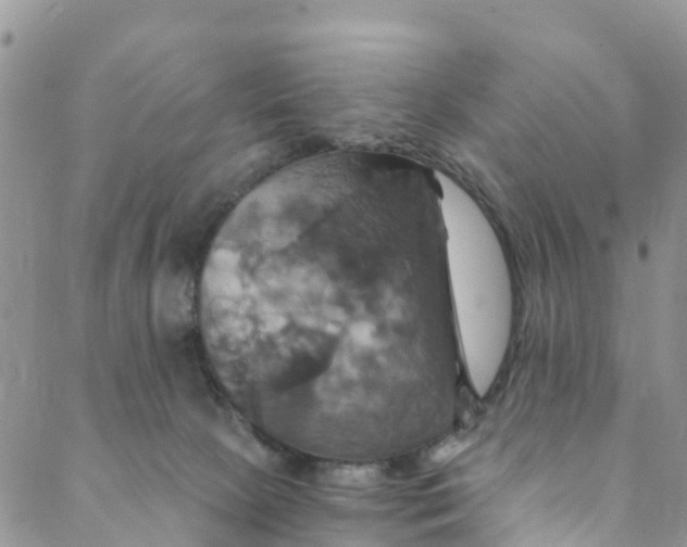 X0000088470081200706121540