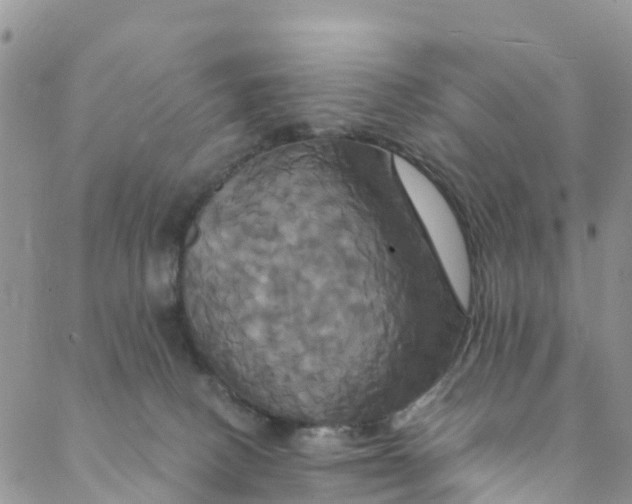 X0000088470082200706121540