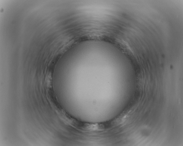 X0000088470083200706121540