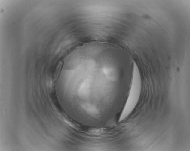 X0000088470084200706121540