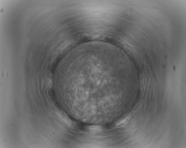 X0000088470085200706121540