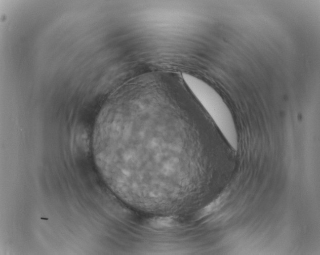 X0000088470086200706121540