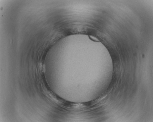 X0000088470087200706121540