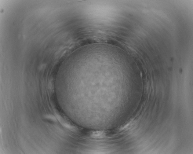 X0000088470088200706121540