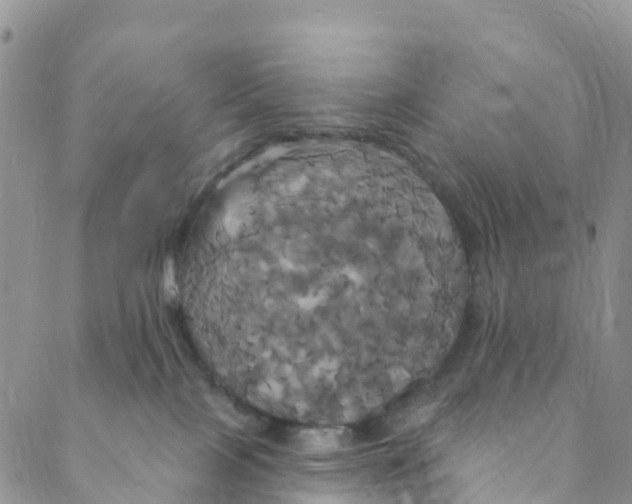 X0000088470089200706121540