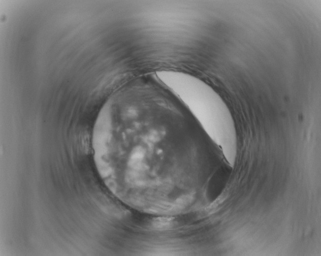 X0000088470090200706121540