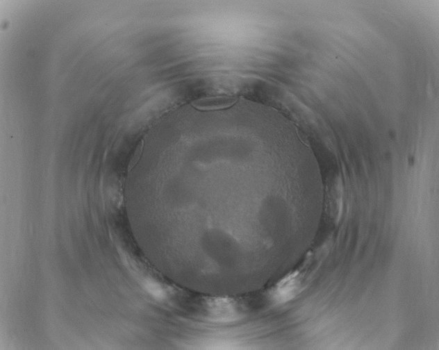 X0000088470091200706121540