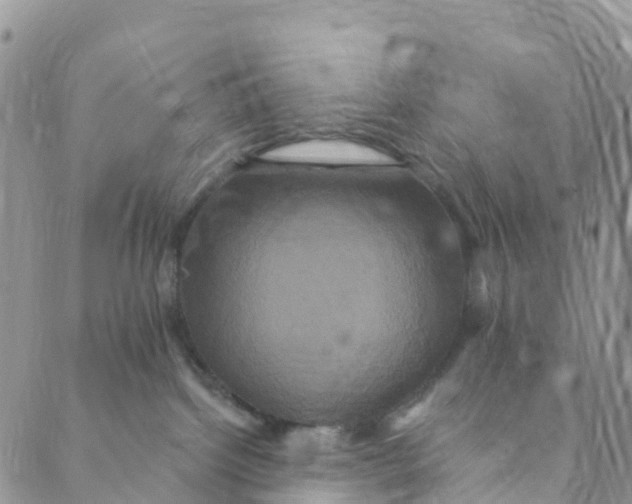 X0000088470092200706121540