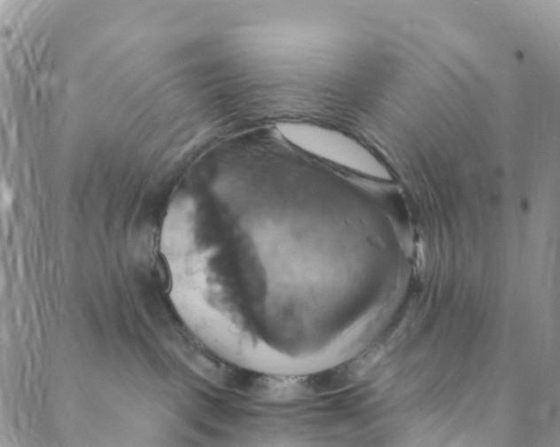 X0000088470093200706121540