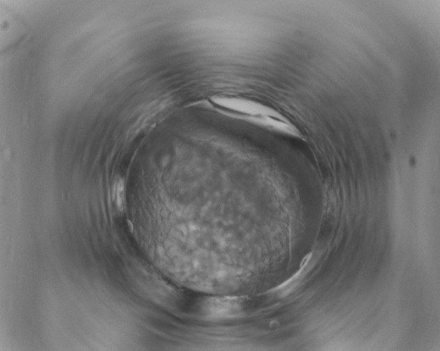 X0000088470094200706121540