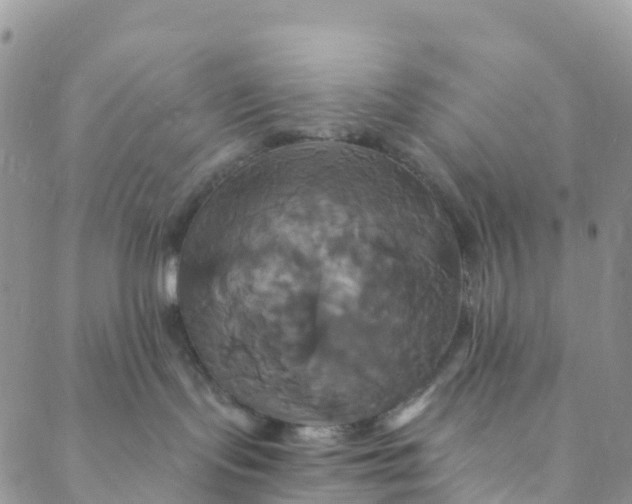 X0000088470095200706121540