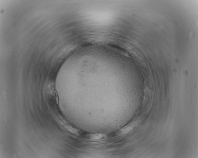 X0000088470096200706121540