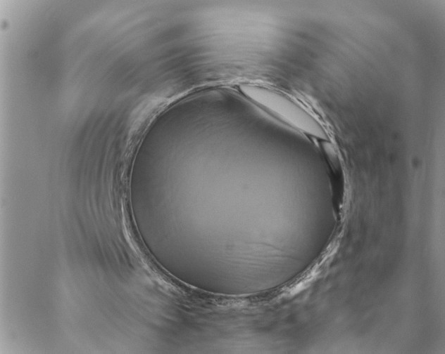 X0000088470097200706121539