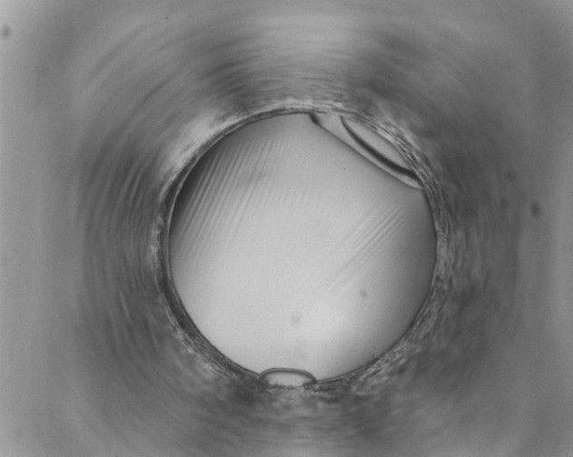 X0000088470098200706121539