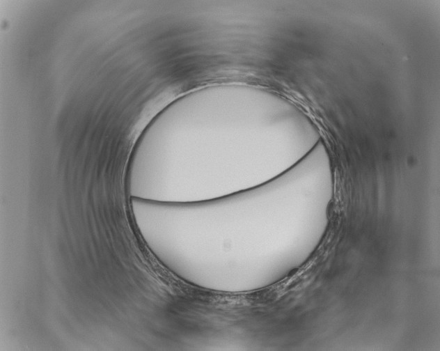 X0000088470099200706121539