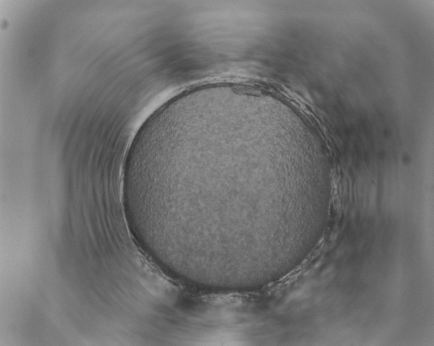 X0000088470100200706121539