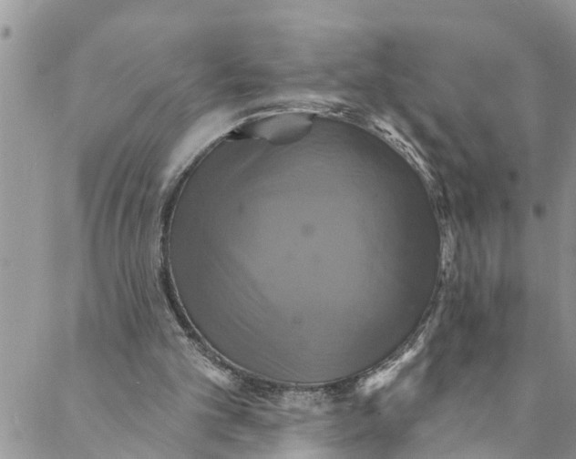 X0000088470101200706121539