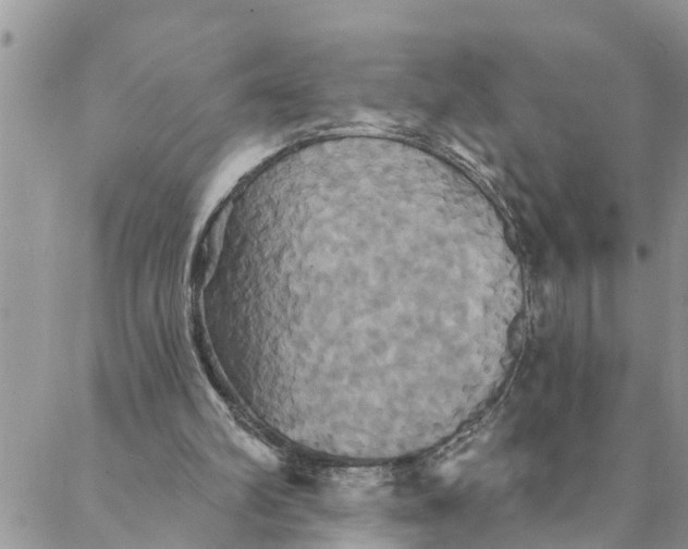 X0000088470102200706121539