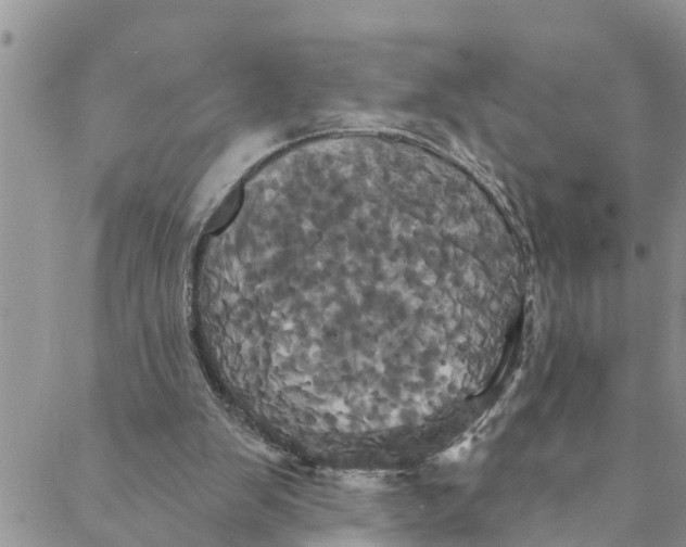 X0000088470103200706121539