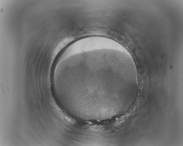 X0000088470104200706121539