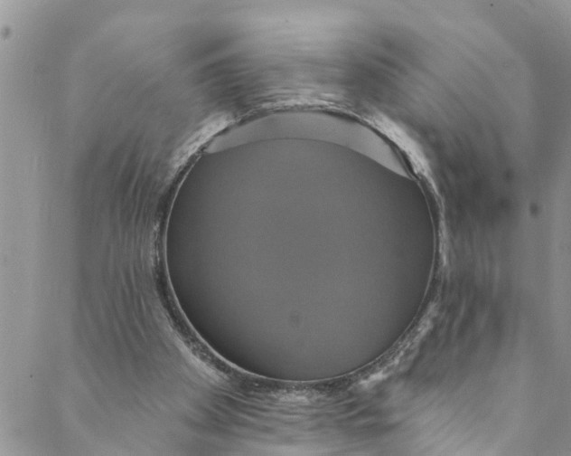 X0000088470105200706121539