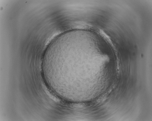 X0000088470106200706121539