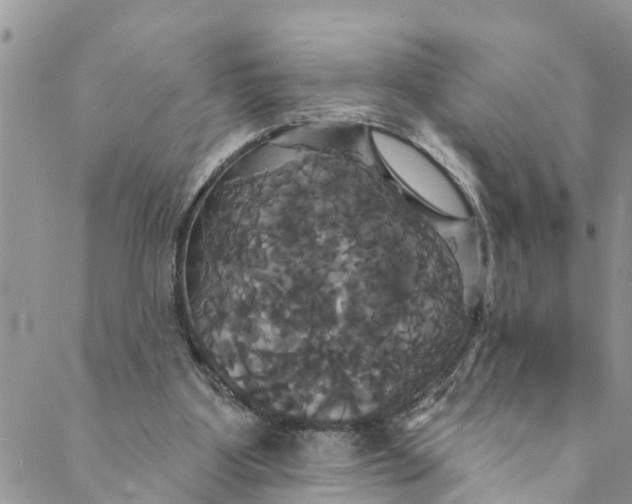 X0000088470107200706121539