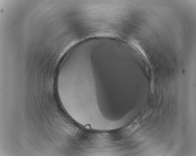 X0000088470108200706121539