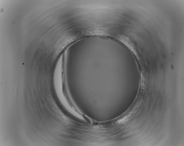 X0000088470109200706121539