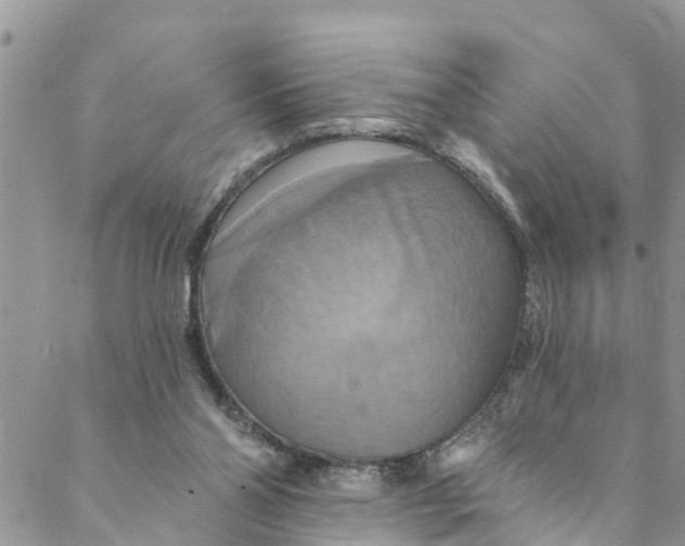 X0000088470110200706121539