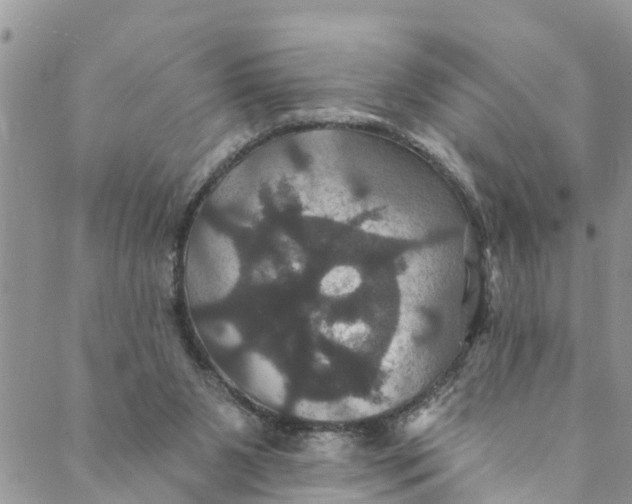 X0000088470111200706121539