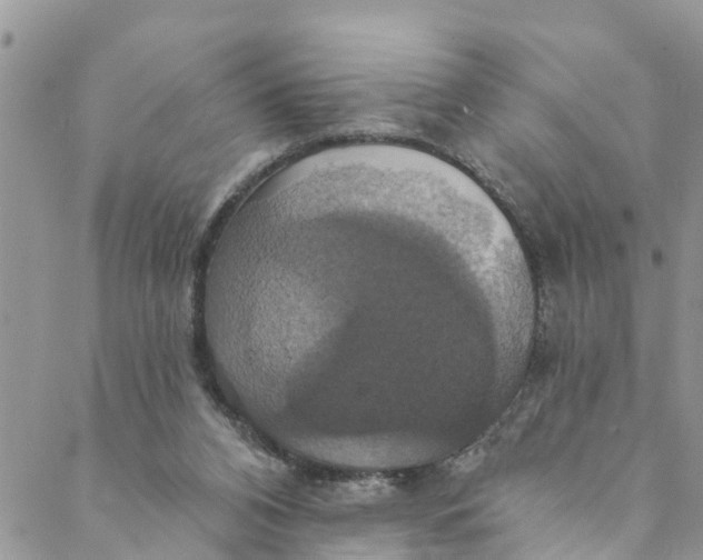 X0000088470112200706121539