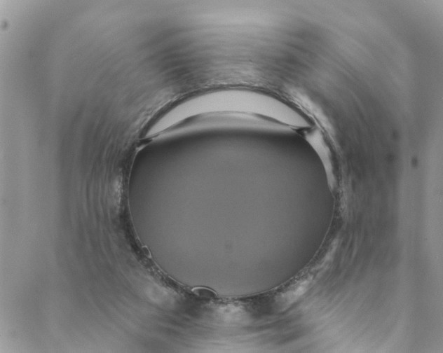 X0000088470113200706121539