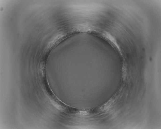 X0000088470114200706121539