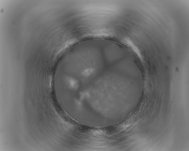 X0000088470115200706121539