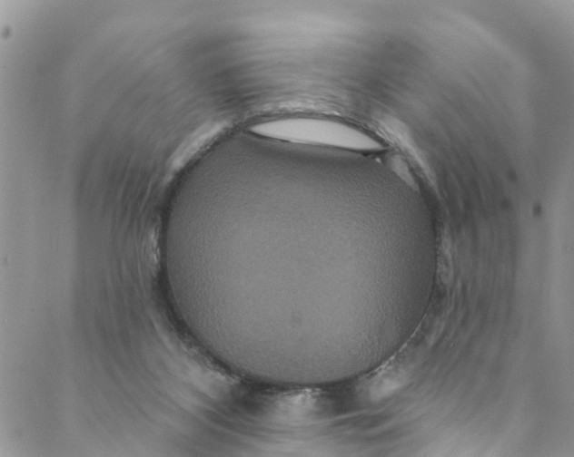 X0000088470116200706121539