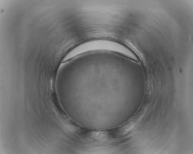 X0000088470117200706121539