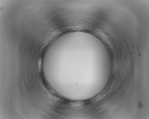 X0000088470118200706121539