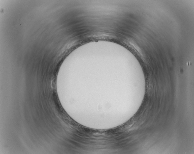 X0000088470119200706121539