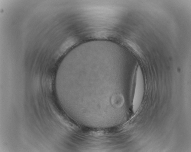 X0000088470120200706121539