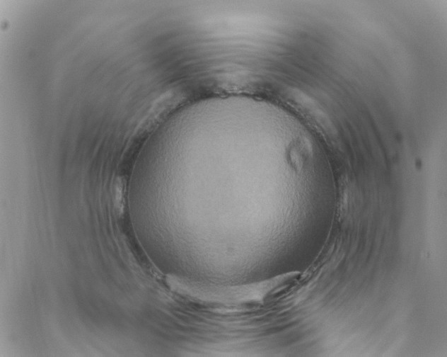 X0000088470121200706121539