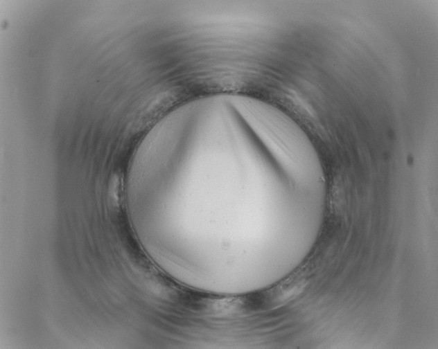 X0000088470122200706121539