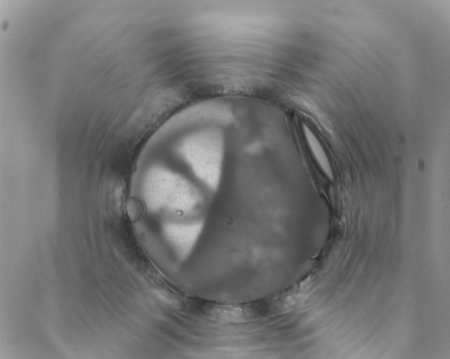 X0000088470123200706121539