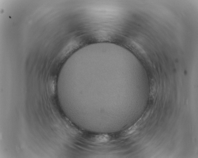 X0000088470124200706121539